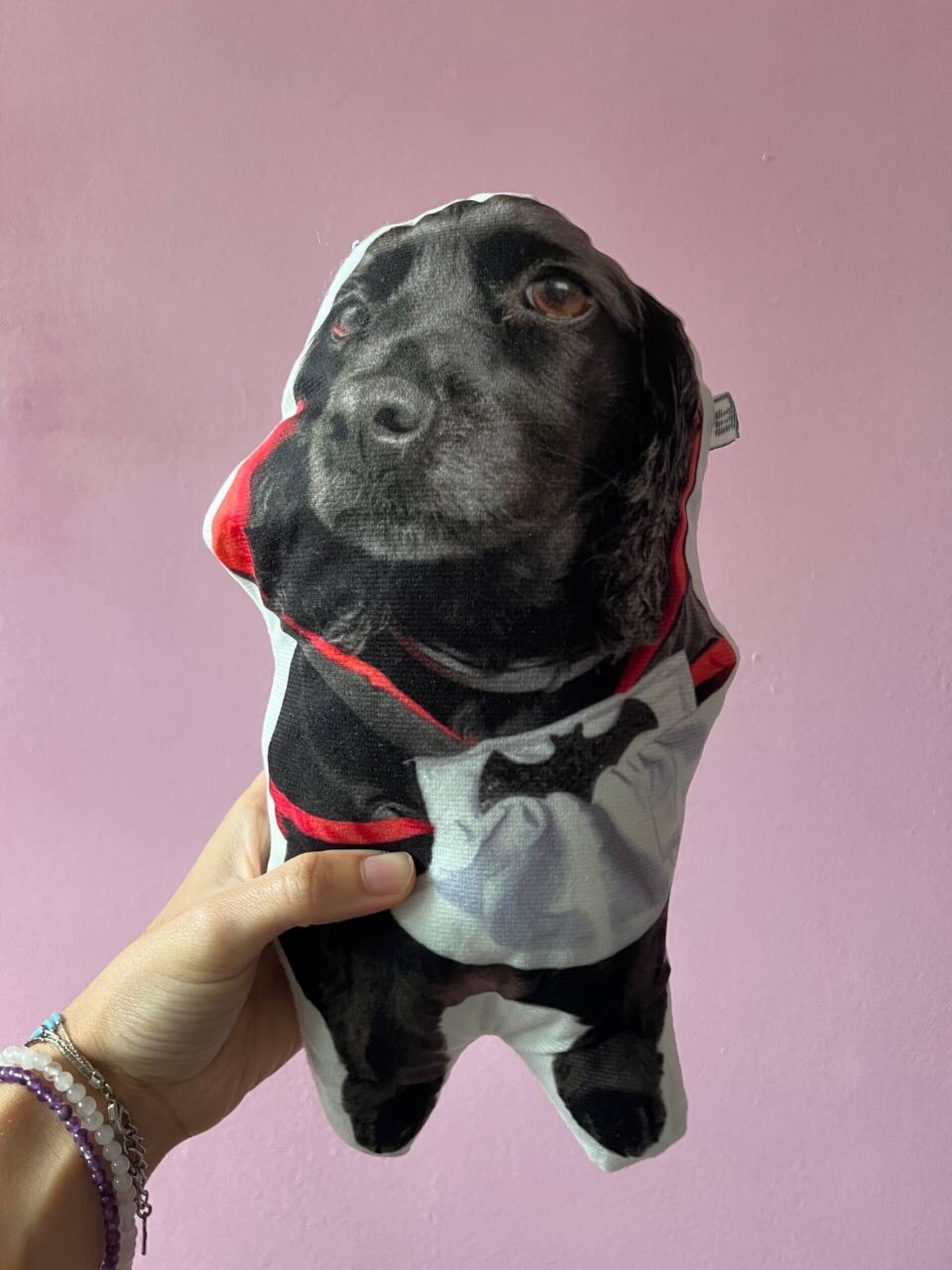 Peluches y llaveros Sally Vampirillo - Plushies & keychains Vampire Sally - 2